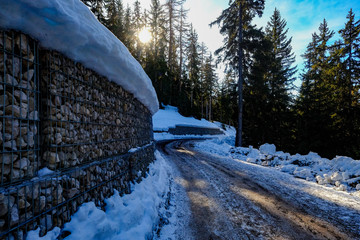 road in a mountain forest
