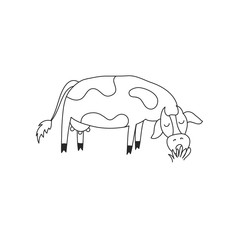 Cute cow eating grass. Hand drawing in doodle style. Isolated on a white background. Black-white vector illustration. Cow chewing