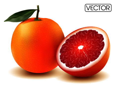 grapefruit on white background