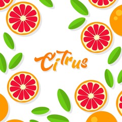 Grapefruit background. Orange tangerine grapefruit lemon lime on a white background. Vector illustration of summer fruits and citrus. Citrus icons silhouettes. Cute painted grapefruits. Tropical fruit