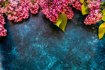 Spring flowers of lilac on the black blue isolated background with clipping path. Closeup no shadows. Lilac branch close-up. Nature.