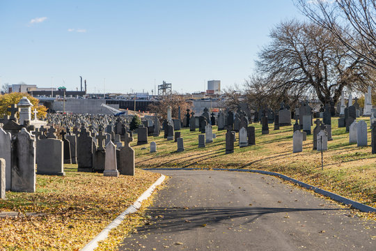 A large cemetery