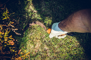 The man mows the grass using a sickle. The concept of working in the garden and caring for the beauty of the garden. 