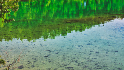 Azure lake. The concept of landscape and relaxing in the fresh air. Trukus water reservoir, attraction and a beautiful place to spend free time. Beautiful forest and water landscape.