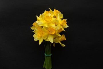 bouquet of yellow narcison on a black background