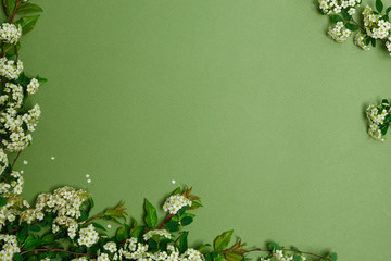 Beautiful spring tiny white flowers on green background in form of frame, textures and backgrounds for text, view from above, layout of the invitation, template for greeting card, invit