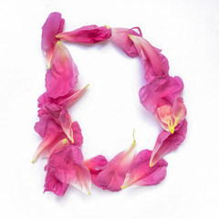 Alphabet made of peony petals. Letter D, layout for design.