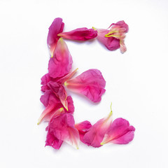 Alphabet made of peony petals. Letter E, layout for design.
