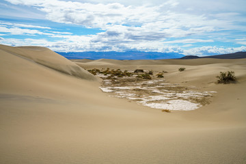 Fototapeta na wymiar mesquite flat sand dunes in death valley national park in california, usa