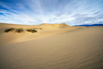 mesquite flat sand dunes in death valley national park in california, usa