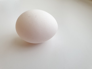 white chicken egg on a white background