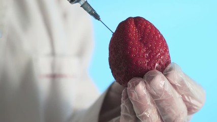 Male scientist hands with syringe injecting substance into Strawberry Corona. Covid-19 - Powered by Adobe