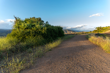Footpath in the Foothills 