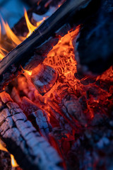 fire burning in a fireplace