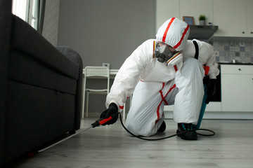 Disinfection of premises against insects and rodents by chemical means, a sanitary worker with a...