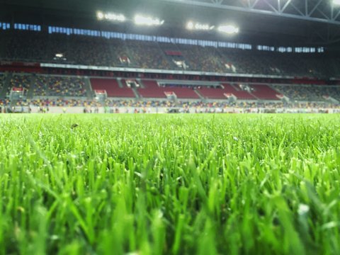 Surface Level Of Illuminated Soccer Field