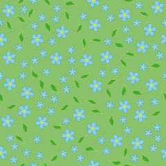 Seamless pattern of Daisy flowers on a green background. Vector image.