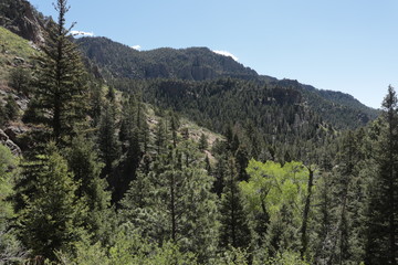 Colorado Mountains in Spring