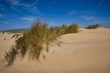 Praia da Carrapateira
