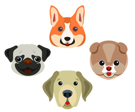 set of dogs. 4 types of dogs are depicted: Corgi, Labrodor, Pug and Spitz