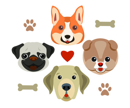 Cute funny head of dogs with paws and bones. 4 types of dogs are depicted: Corgi, Labrodor, Pug and Spitz