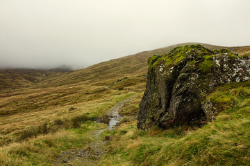 foggy autumn morning on mounrne mountain,Northern Ireland