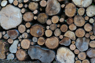 Logs as background and testure