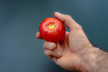 Red tomato in hand on a black background