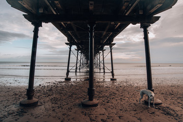Beach Pier Ocean Seaside Saltburn by the Sea England Coastal Town Underneath Pier