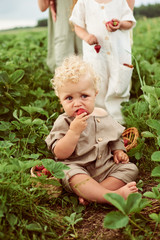 A cute beautiful caucasian curly kid with a basket of strawberries gathers a new crop outdoor in the green field
