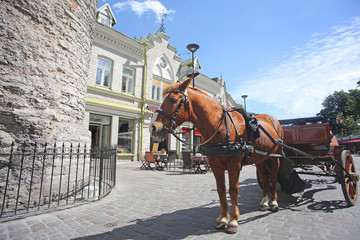 Fototapeta premium Horse & cart next to the city gates of the old town, in the historic medieval downtown area of the city, Tallinn, Estonia.