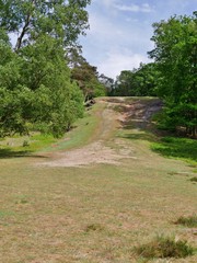 Kuppe in der Fischbeker Heide