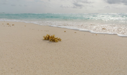 beach sand in Cancun mexico