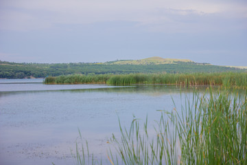 Fototapeta na wymiar Beautiful blue lake with green reeds. Landscape on the lake.