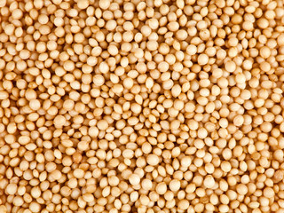 Background of amaranth seeds. Top view.