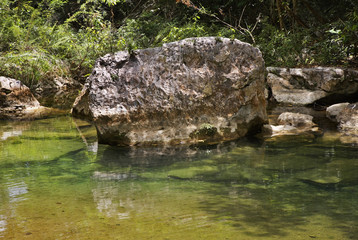 Fototapeta na wymiar Natural Park El Cubano near Trinidad. Cuba