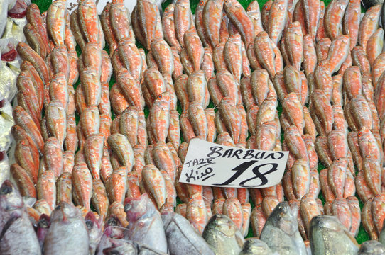 Clean fish are sold fresh at fish market, fresh kidney fish, barbun sold