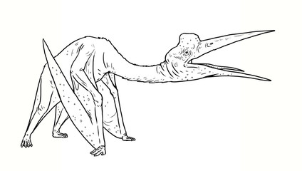 Prehistoric pterosaur - Quetzalcoatlus. Flying reptiles from jurassic period.   © Lunstream