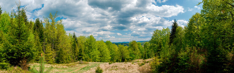 Beautiful rural summer landscape with forest, blue sky and white clouds, panorama. spring landscape with panoramic views of meadow and mountains