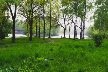 Fototapeta na wymiar lake and trees in the park on a spring cloudy day