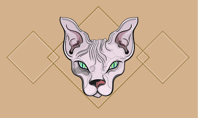 Cat sphynx, illustraitor CC