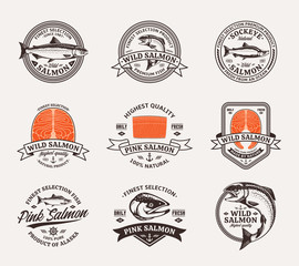 Salmon logo and design elements