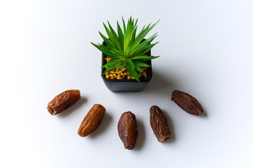 Dates or kurma on white background with flower pot, the favorite food of the holy ramadhan month.