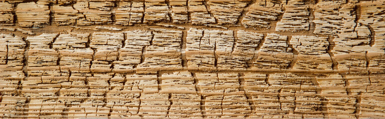 Old wooden Board. Unusual pattern texture background.
