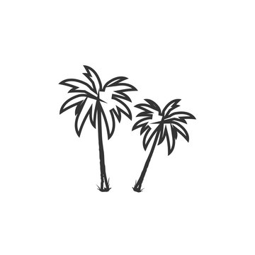 palm trees icon vector illustration sign