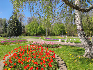 Obraz premium Spring view of South Park in city of Sofia