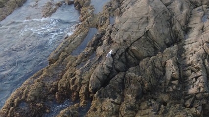 Wonderful sunset from the mountains and contemplating the sea and the coast in all its splendor