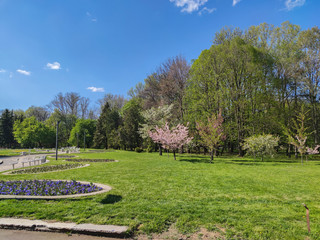 Spring view of South Park in city of Sofia