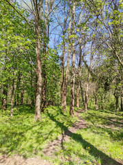 Spring view of South Park in city of Sofia