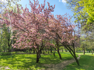 Spring view of South Park in city of Sofia